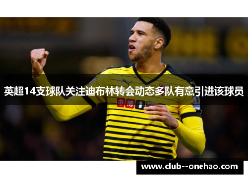英超14支球队关注迪布林转会动态多队有意引进该球员